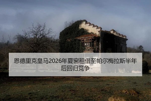 en-de-li-ke-huang-ma-nian-xia-chuang-zu-jie-zhi-pa-er-mei-la-si-ban-nian-hou-hui-gui-jing-zheng-3-260.jpg