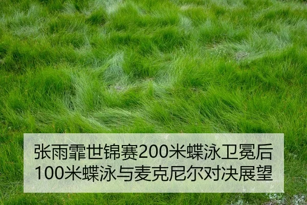 zhang-yu-fei-shi-jin-sai-mi-die-yong-wei-mian-hou-mi-die-yong-yu-mai-ke-ni-er-dui-jue-zhan-wang-3-638.jpg